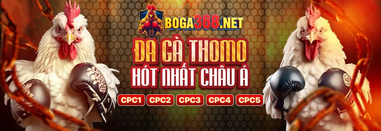 Đấu trường đá gà kịch tính tại TG88 APK